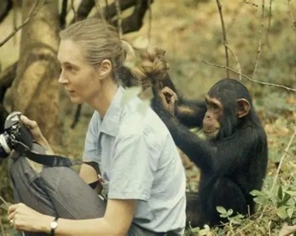 The Book of Hope: Choosing Hope in a World on the Edge